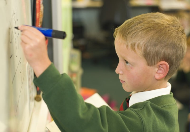 a primary school pupil