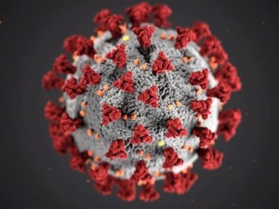 the coronavirus in close up