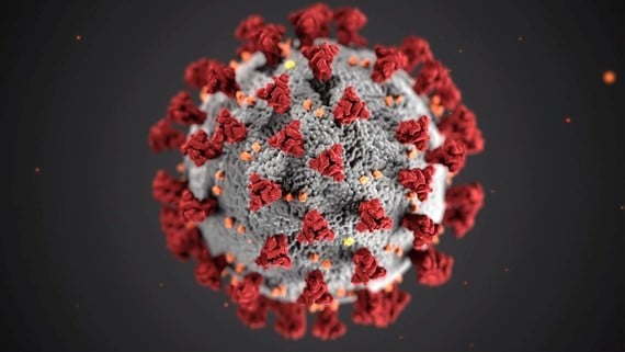 the coronavirus in close up