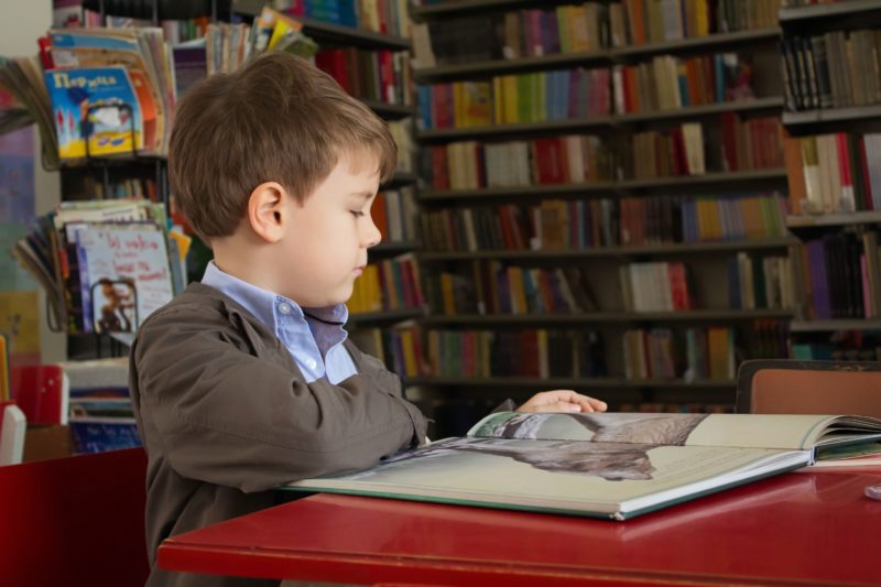 a boy reading a book