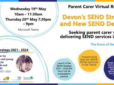 Devon SEND strategy flyer