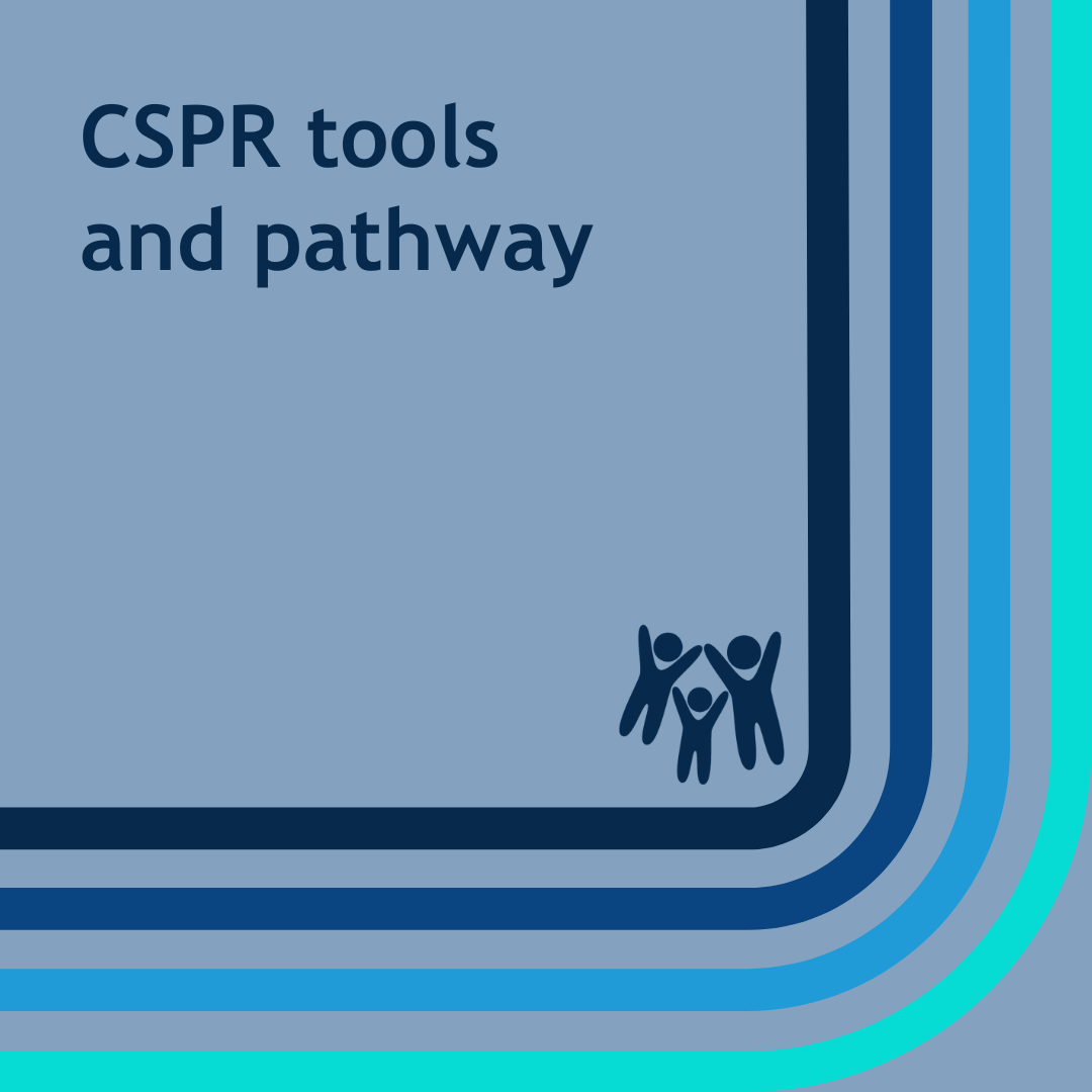 Cspr Software CSPR tools and pathway - Devon Safeguarding Children Partnership